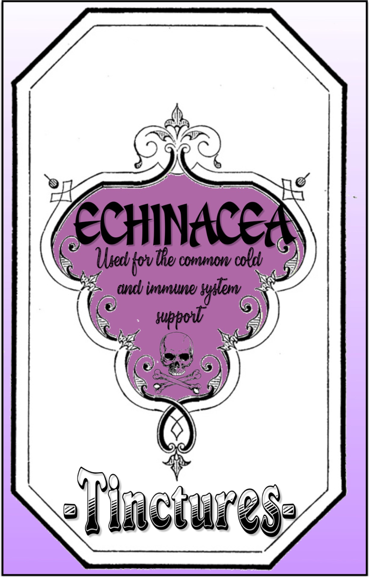 TAP HERE FOR MORE- Echinacea is known for its immune system defense before and during a cold. 